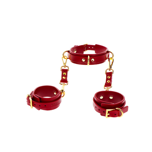 1A- Taboom D-Ring Collar and Wirst Cuffs