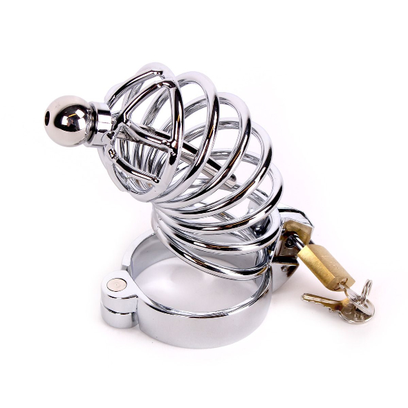 Chastity Cage /w Penis Stick