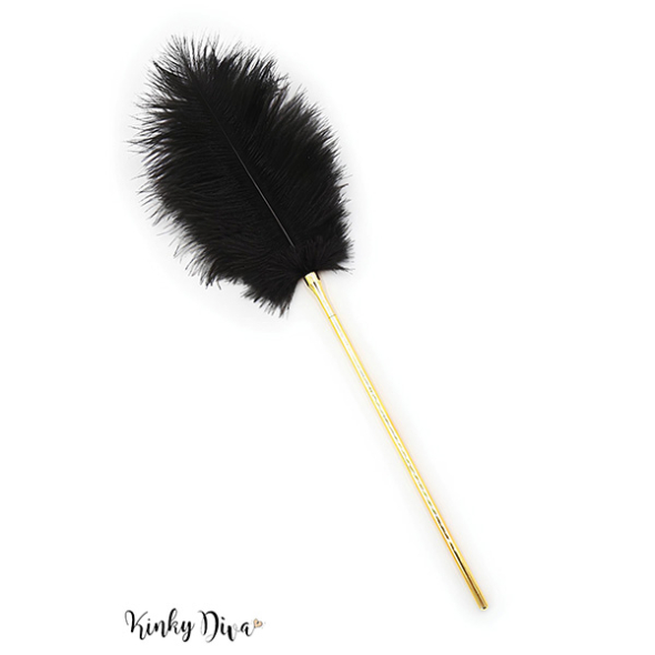 Chic et grande plume noire manche doré Kinky Diva